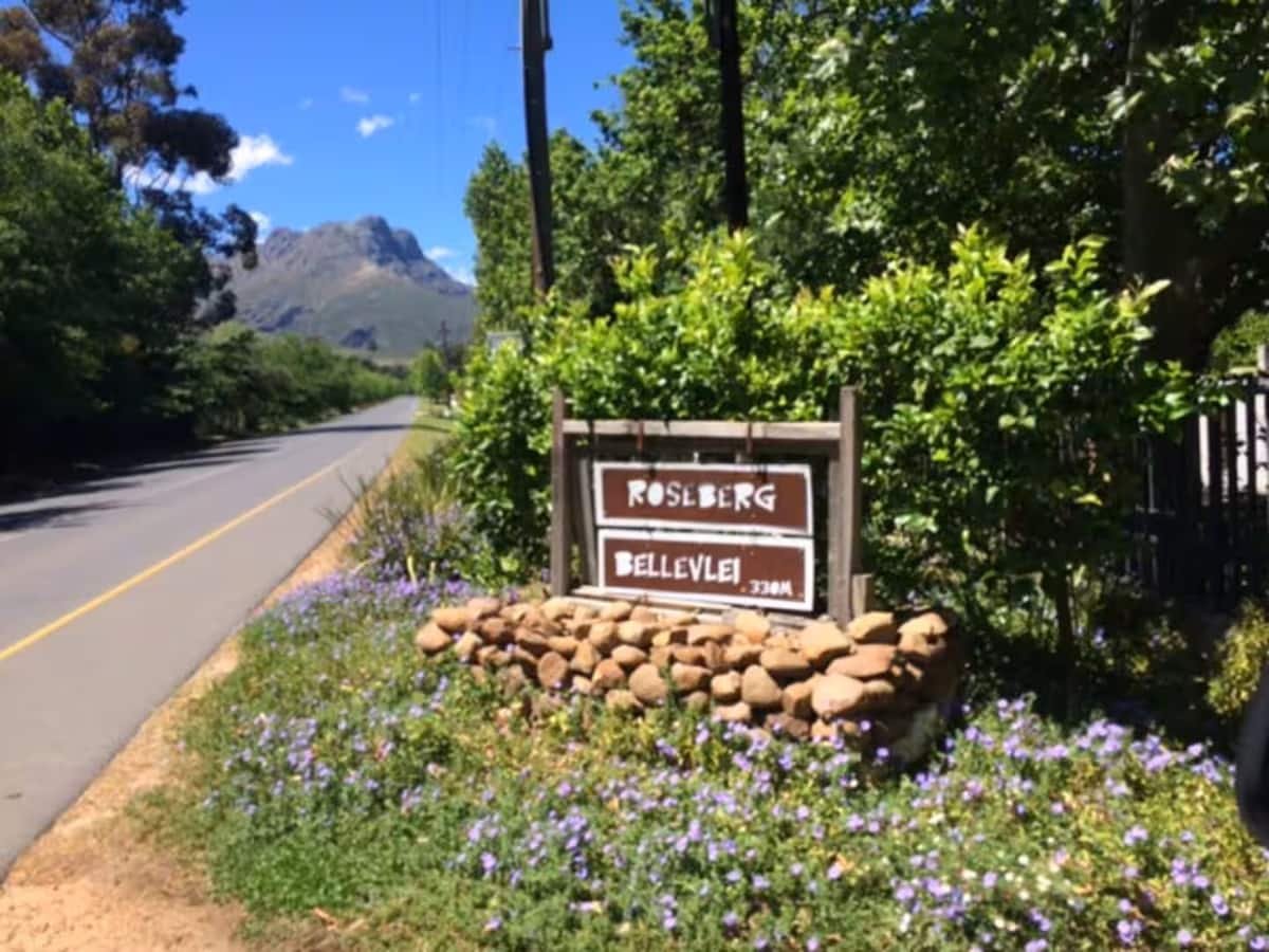 Protea Cottage — photo 10