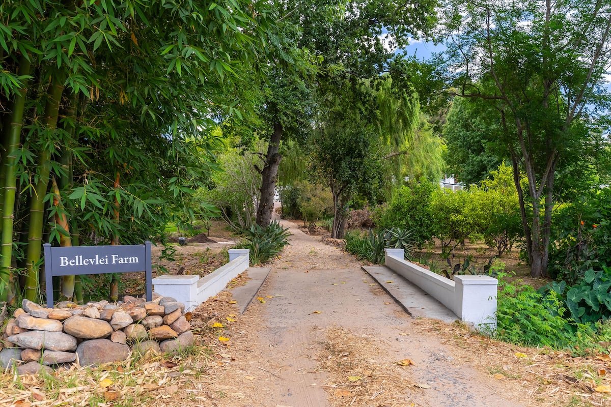 The Rock House — photo 26